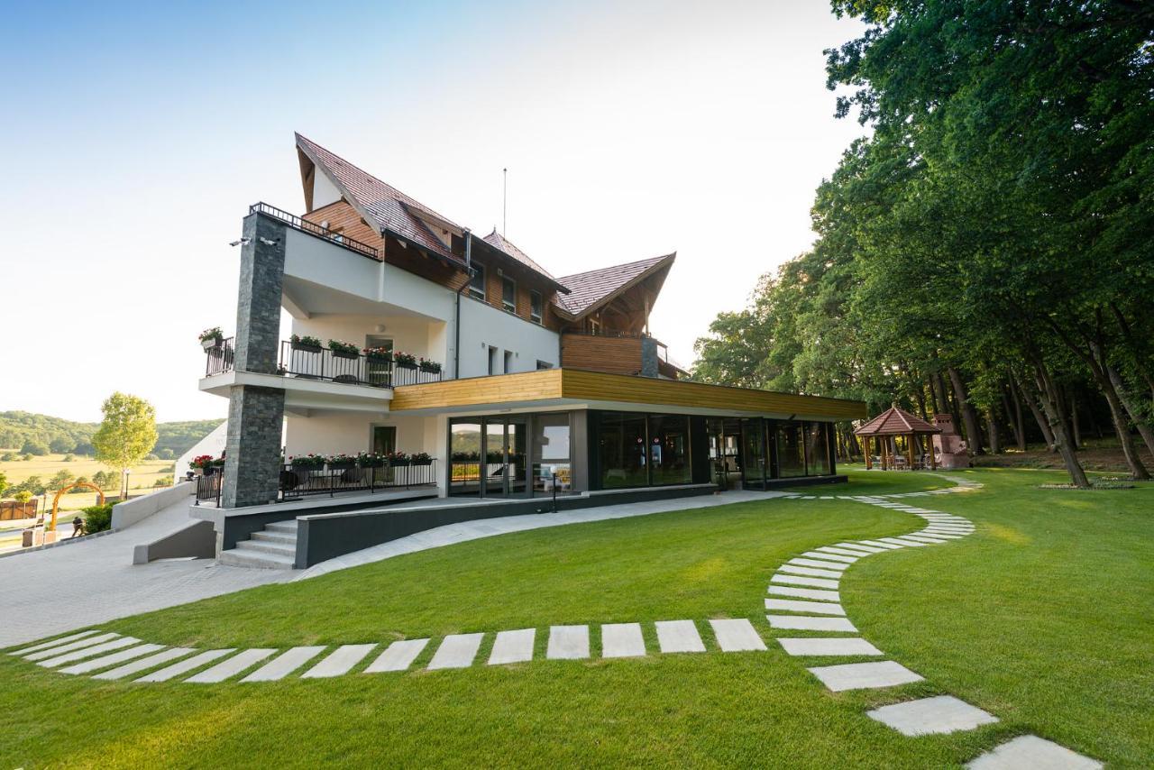 Panorama Boutique Hotel Sfântu-Gheorghe 外观 照片
