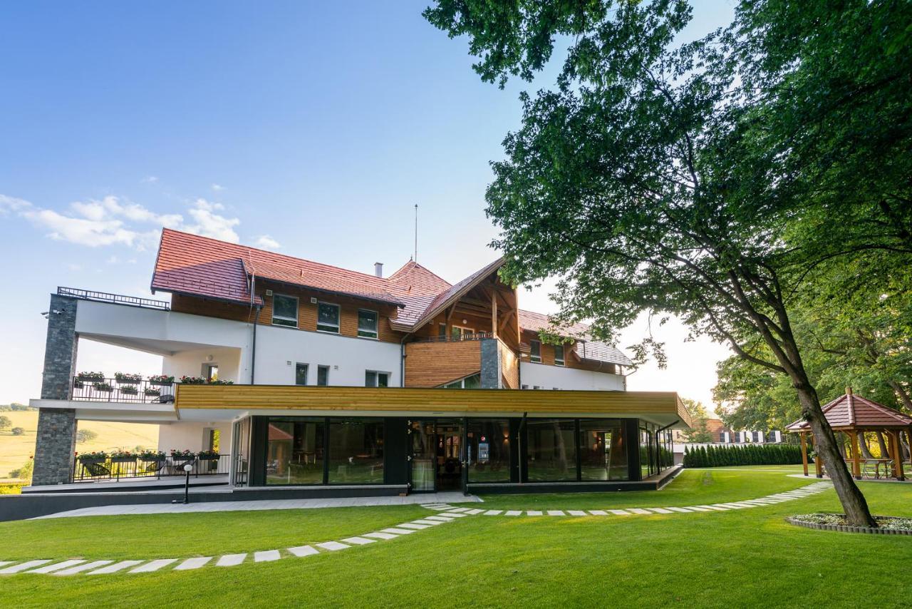 Panorama Boutique Hotel Sfântu-Gheorghe 外观 照片