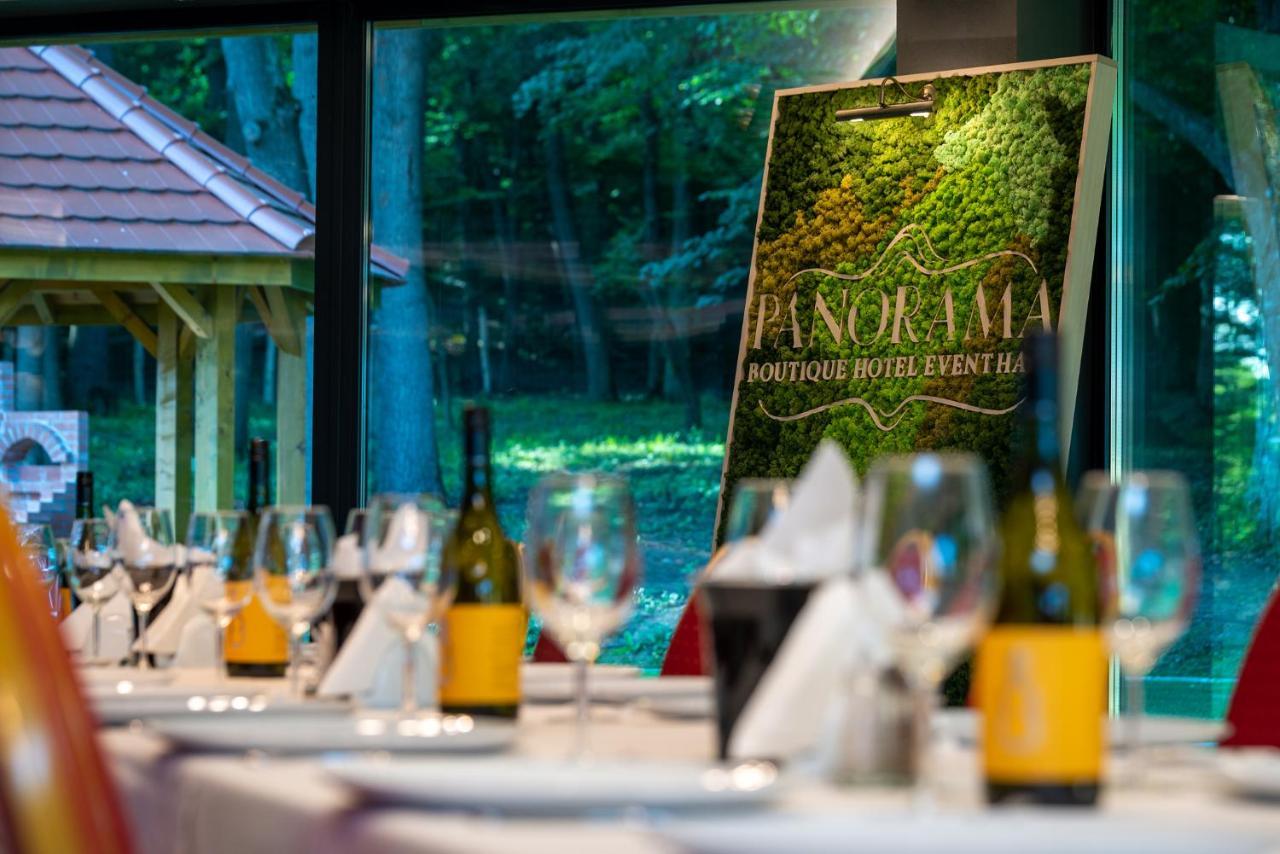 Panorama Boutique Hotel Sfântu-Gheorghe 外观 照片