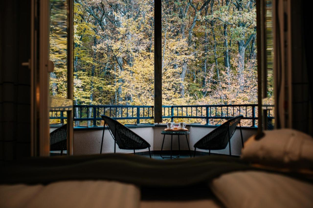 Panorama Boutique Hotel Sfântu-Gheorghe 外观 照片