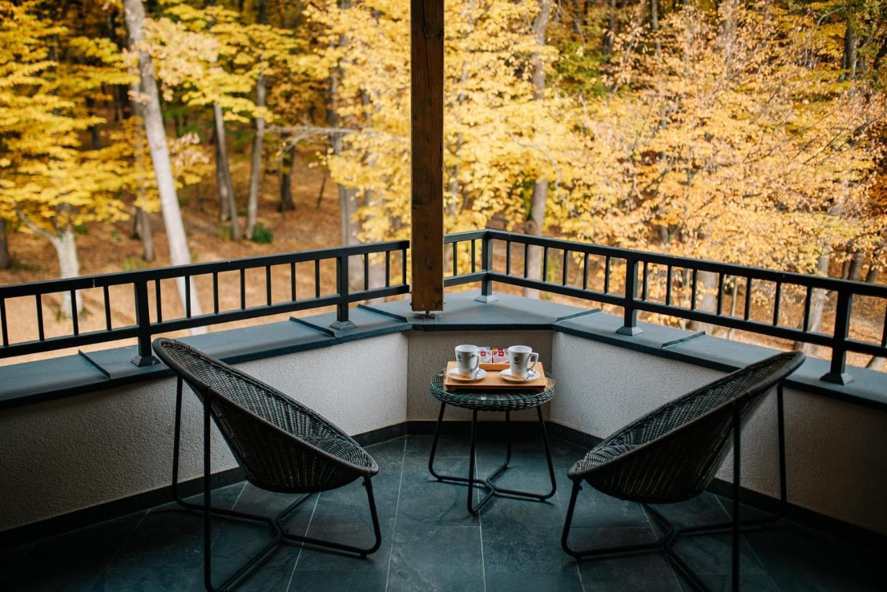 Panorama Boutique Hotel Sfântu-Gheorghe 外观 照片