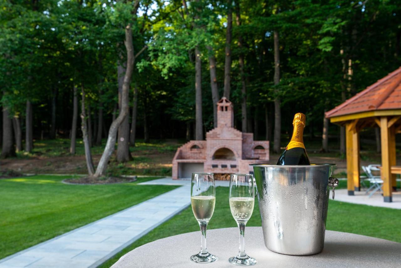 Panorama Boutique Hotel Sfântu-Gheorghe 外观 照片