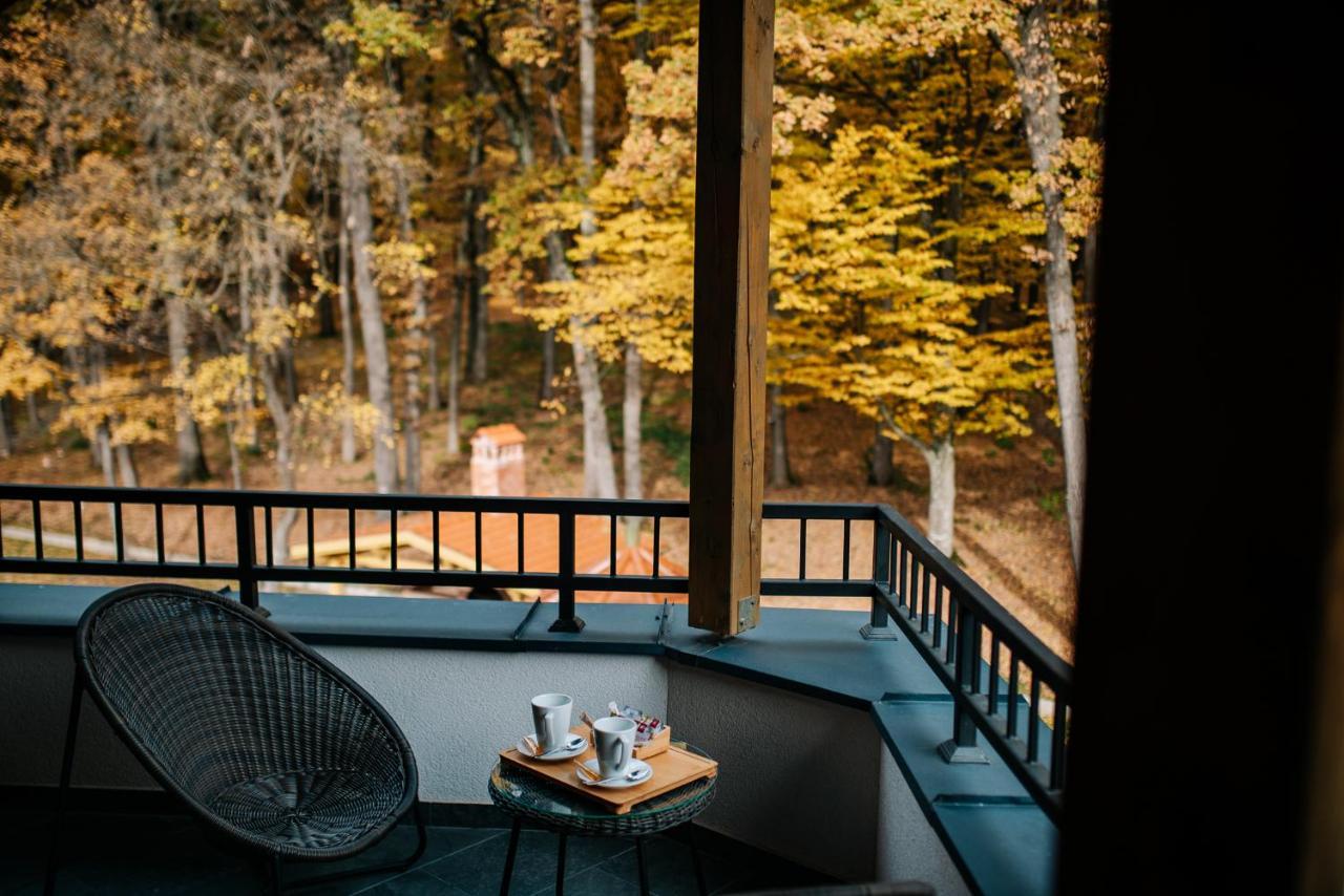 Panorama Boutique Hotel Sfântu-Gheorghe 外观 照片